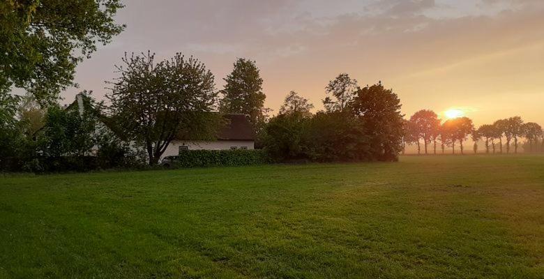 Guesthouse Rijsbergen_Zundert Εξωτερικό φωτογραφία