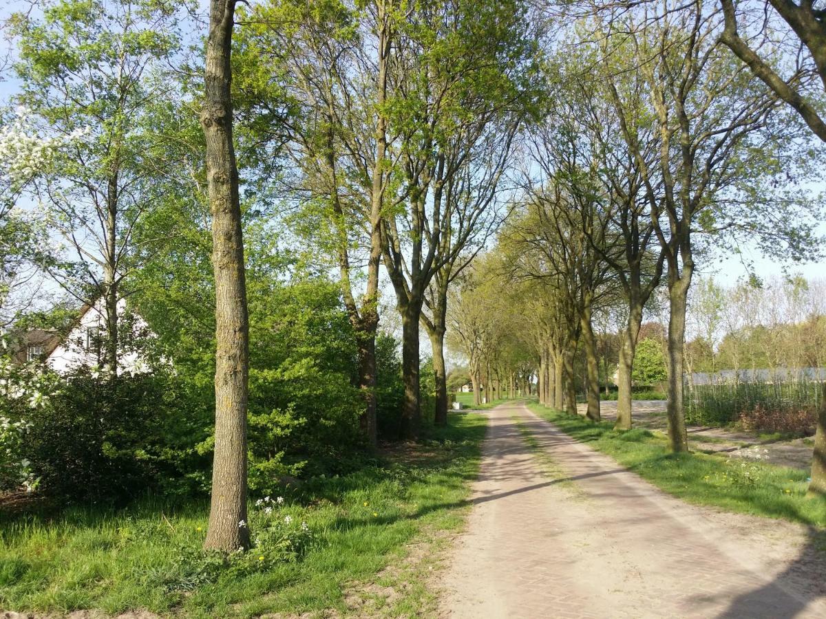 Guesthouse Rijsbergen_Zundert Εξωτερικό φωτογραφία